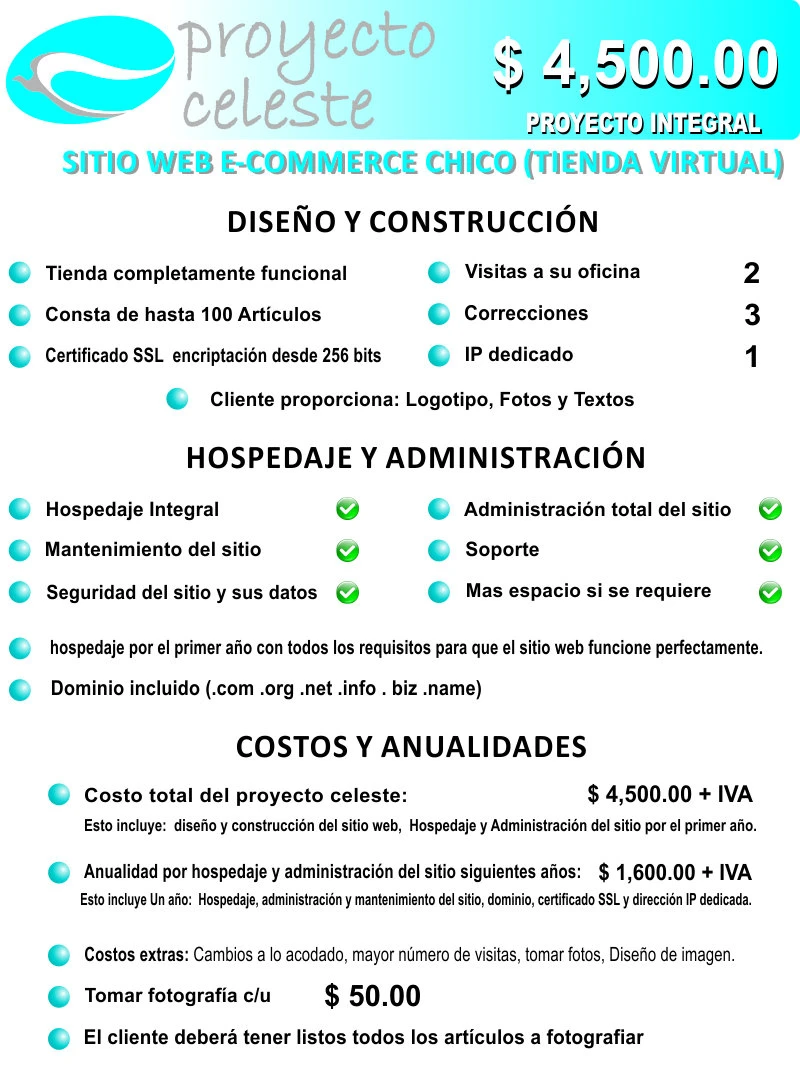 Proyecto celeste
